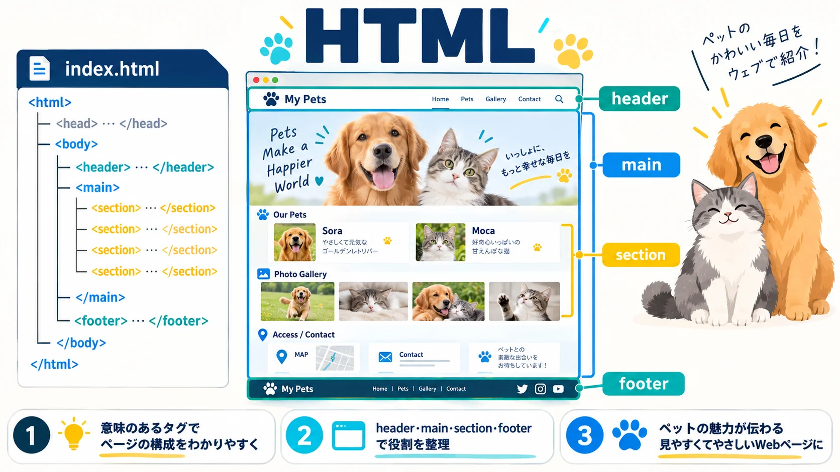 HTML